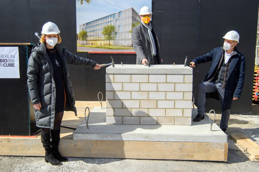Beim symbolischen Hammerschlag bei der Grundsteinlegung für das neue Gründerzentrum BerlinBioCube