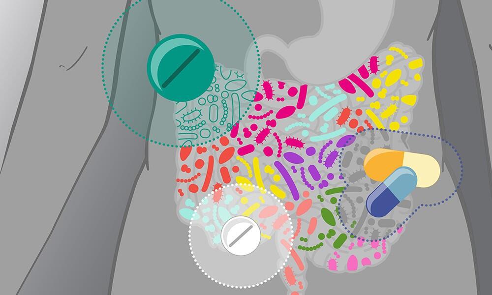 Medikamente können die Darmmikroben auf unterschiedliche Weise beeinflussen. © Isabel Romero Calvo/EMBL