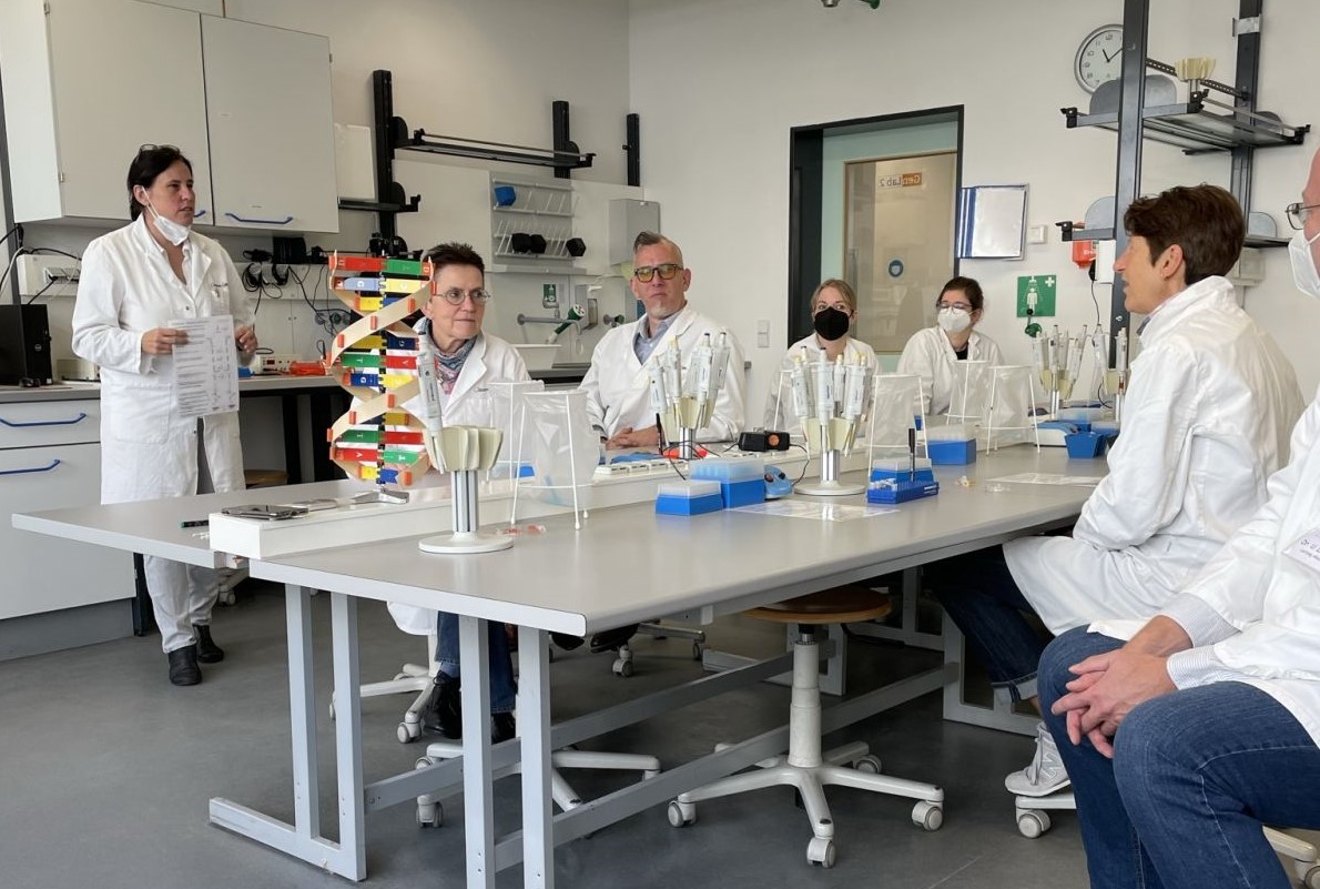 Mitglieder und Mitarbeiter:innen des Bundestages informierten sich in einem Workshop im Gläsernen Labor auf dem Campus Berlin-Buch über CRISPR-Cas