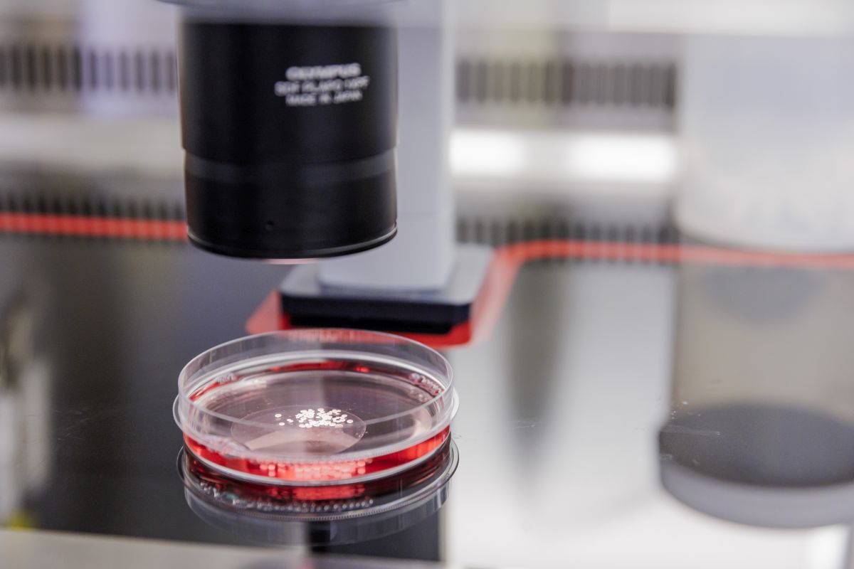 Im Labor. (c) Monique Wüstenhagen