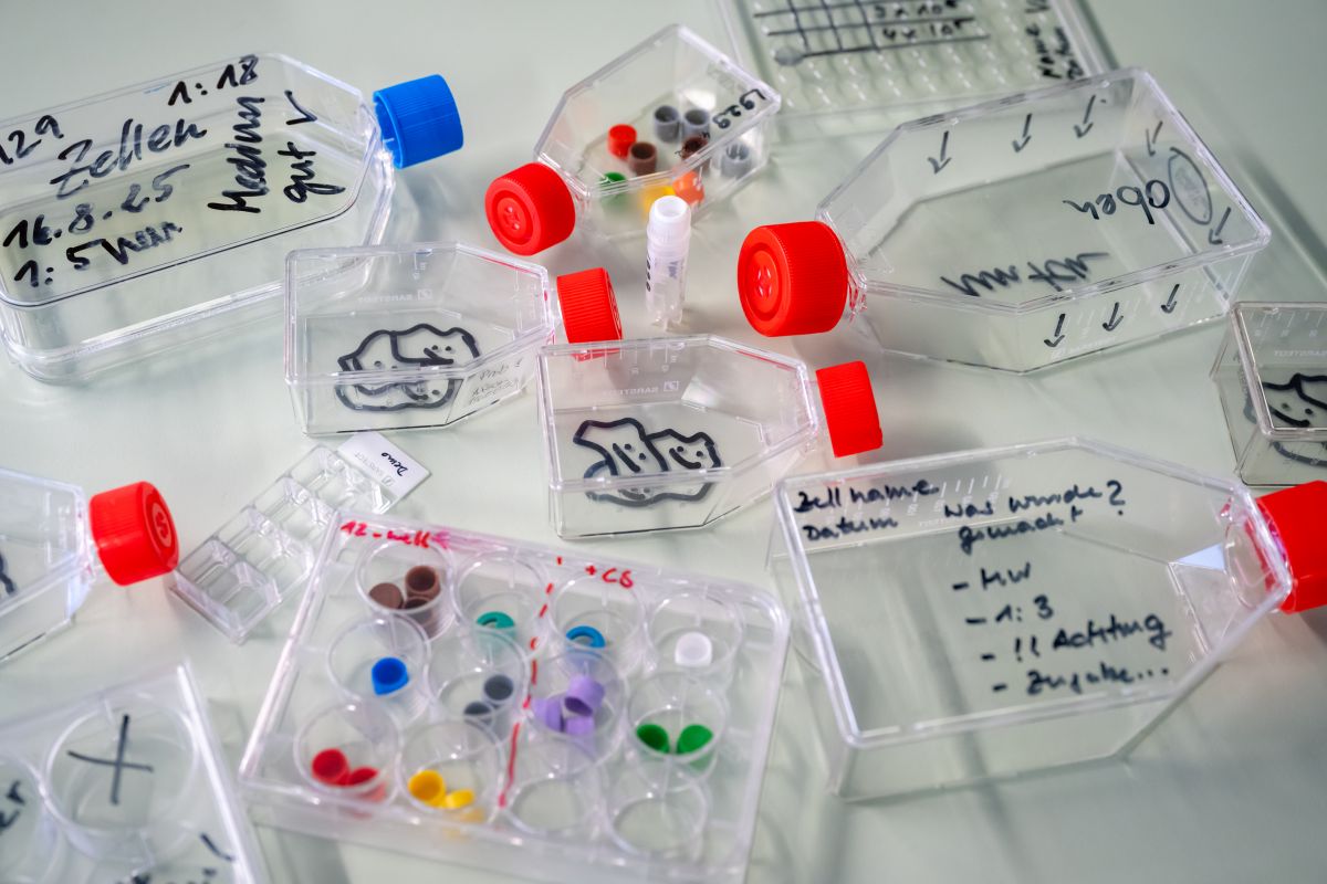 Equipment (c) Peter Himsel