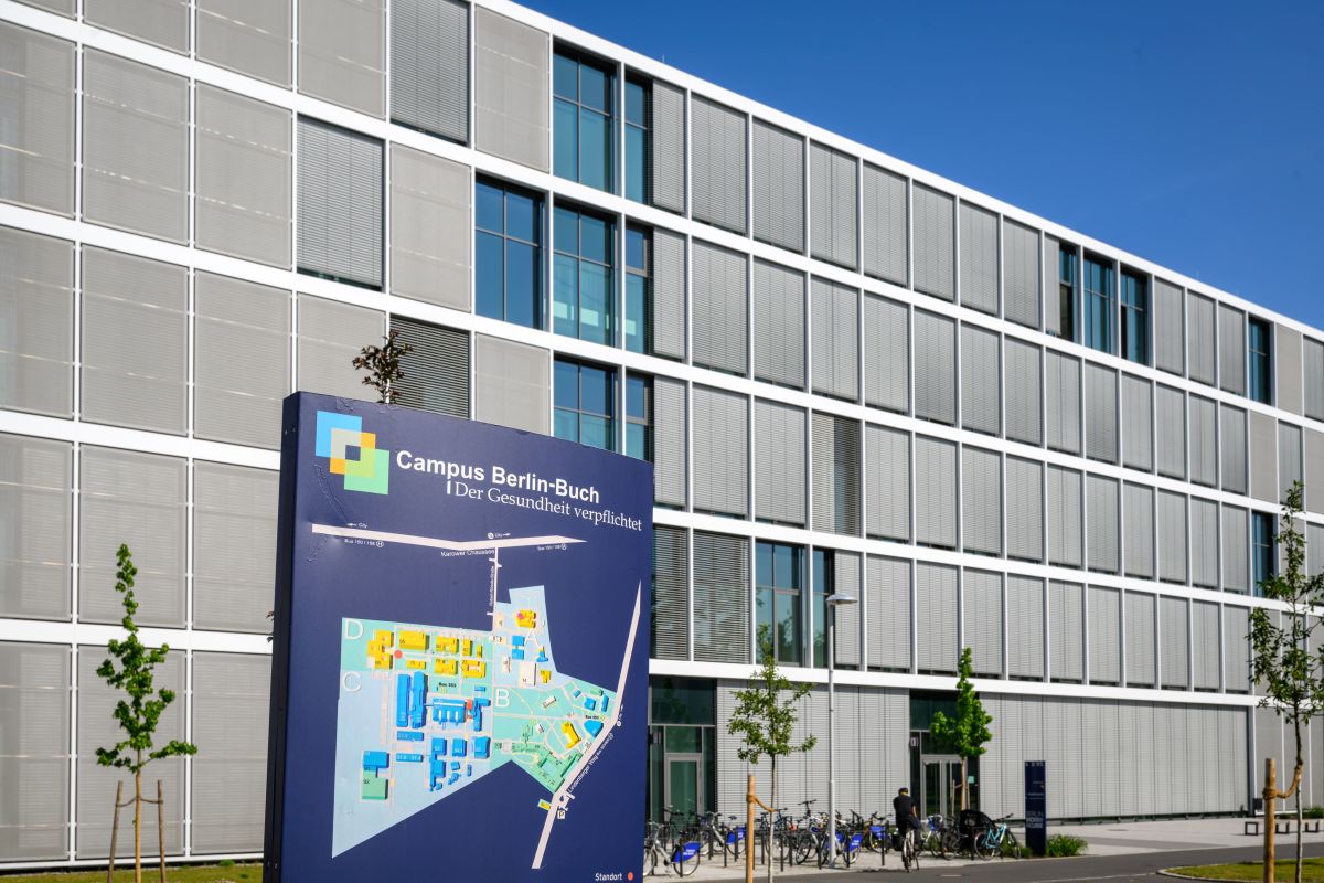 BBC. Foto: Peter Himsel