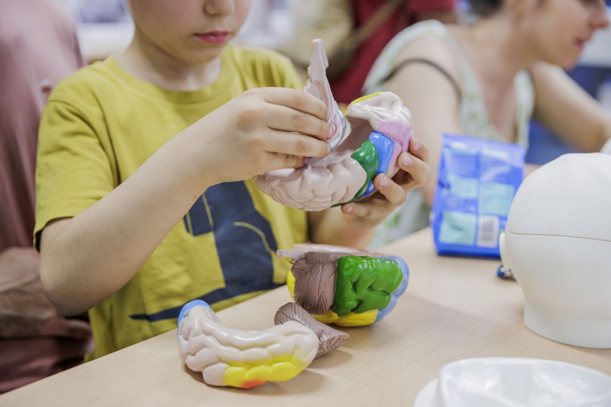 Viel zu entdecken gibt es auch in diesem Jahr wieder. Foto: Monique Wüstenhagen